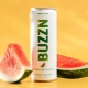 Watermelon Seltzer